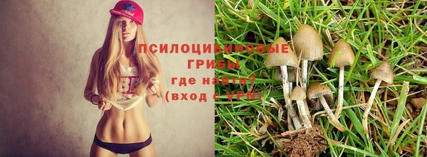 ALPHA-PVP Гусь-Хрустальный