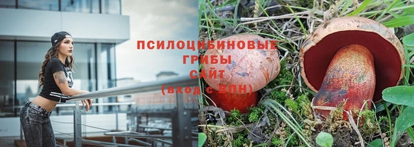 спиды Абдулино