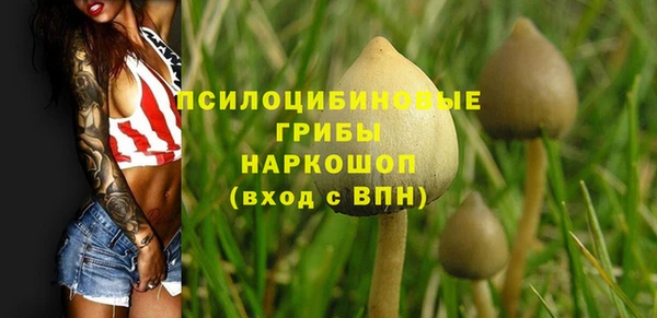 бутират Алзамай