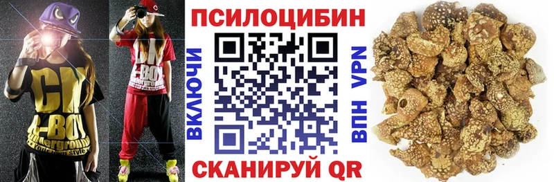 Псилоцибиновые грибы мицелий  купить наркоту  Учалы 